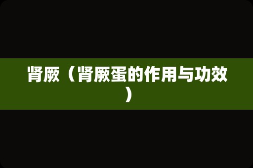 肾厥（肾厥蛋的作用与功效）