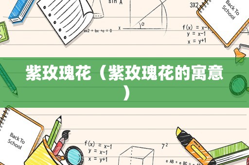 紫玫瑰花（紫玫瑰花的寓意）