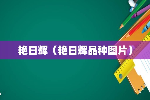 艳日辉（艳日辉品种图片）