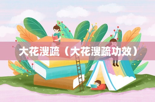 大花溲疏（大花溲疏功效）