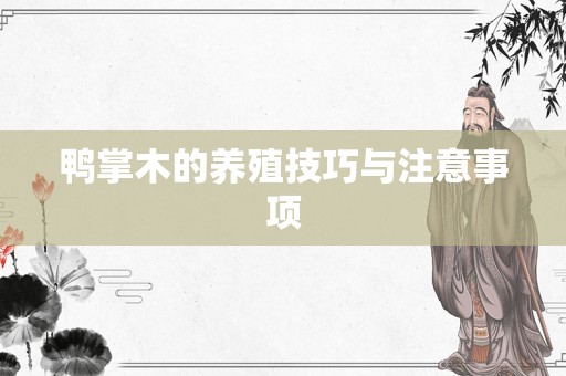 鸭掌木的养殖技巧与注意事项