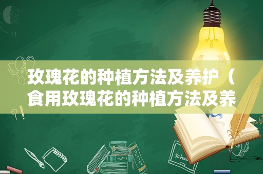 玫瑰花的种植方法及养护（食用玫瑰花的种植方法及养护）