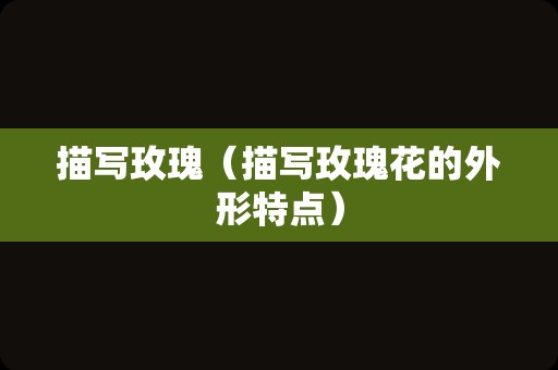 描写玫瑰（描写玫瑰花的外形特点）