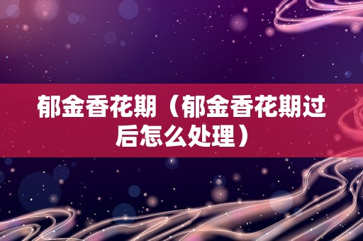 郁金香花期（郁金香花期过后怎么处理）