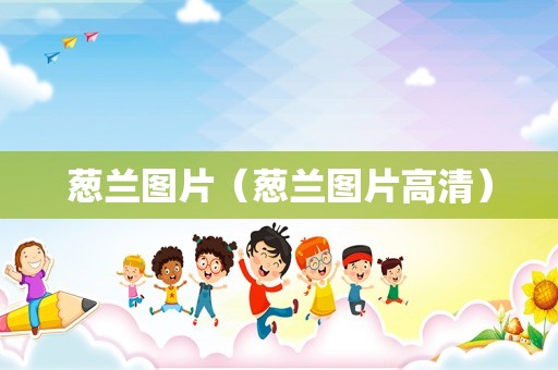 葱兰图片（葱兰图片高清）