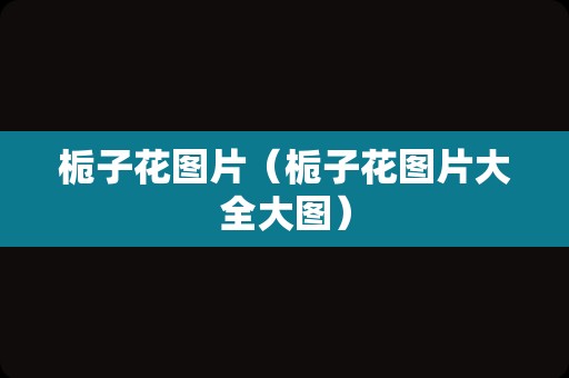 栀子花图片（栀子花图片大全大图）
