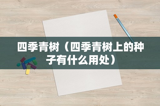 四季青树（四季青树上的种子有什么用处）