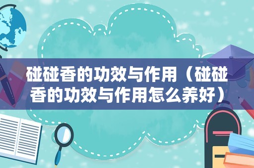碰碰香的功效与作用（碰碰香的功效与作用怎么养好）