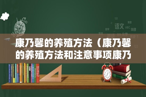 康乃馨的养殖方法（康乃馨的养殖方法和注意事项康乃）