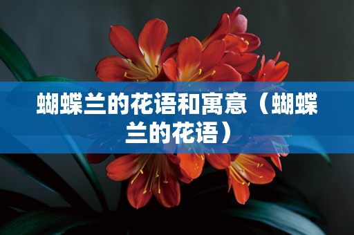 蝴蝶兰的花语和寓意（蝴蝶兰的花语）