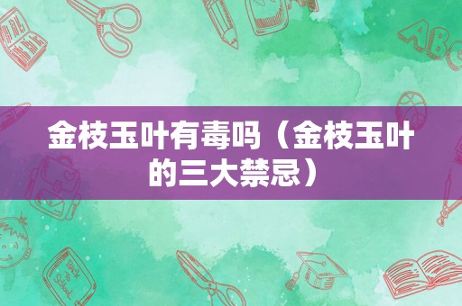 金枝玉叶有毒吗（金枝玉叶的三大禁忌）