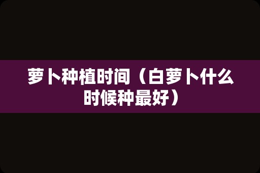 萝卜种植时间（白萝卜什么时候种最好）