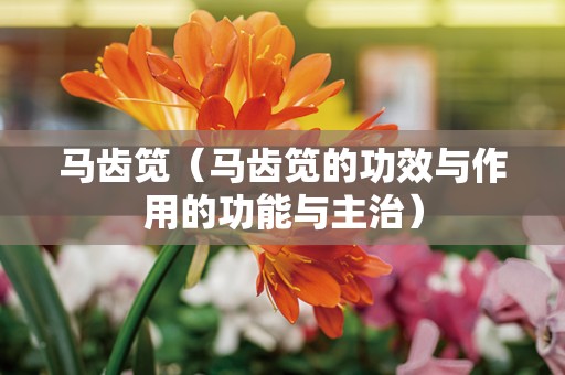 马齿笕（马齿笕的功效与作用的功能与主治）