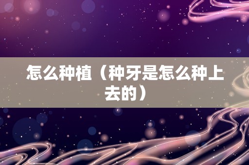 怎么种植（种牙是怎么种上去的）
