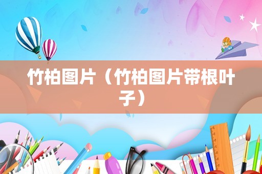 竹柏图片（竹柏图片带根叶子）