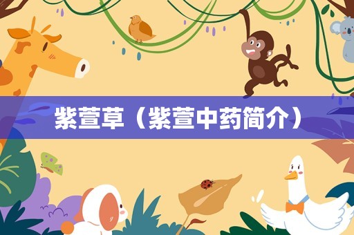 紫萱草（紫萱中药简介）