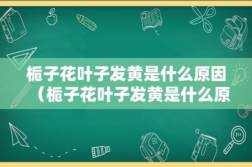 栀子花叶子发黄是什么原因（栀子花叶子发黄是什么原因怎么补救）