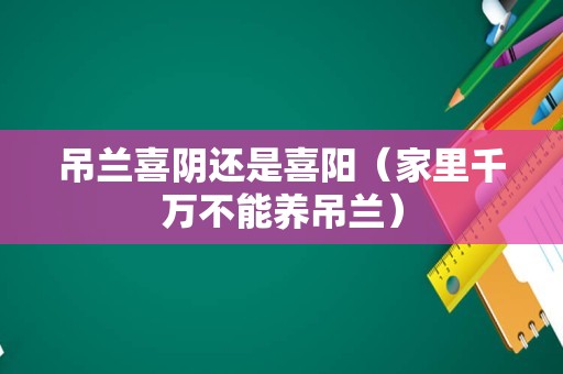 吊兰喜阴还是喜阳（家里千万不能养吊兰）