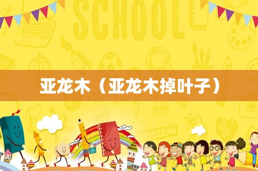 亚龙木（亚龙木掉叶子）